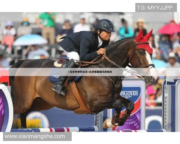 奥运会项目裁判主观评分公正性与舆情影响机制分析模型研究 奥运会项目裁判主观评分公正性与舆情影响机制分析模型研究